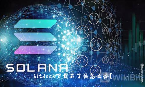 bitdock下载不了该怎么办？