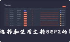 如何选择和使用支持BEP2的