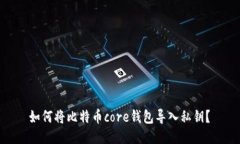  如何将比特币core钱包导入私钥？