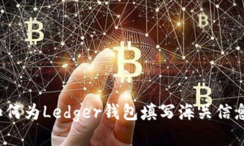 如何为Ledger钱包填写海关信息？