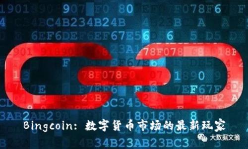 Bingcoin: 数字货币市场的最新玩家