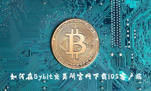 如何在Bybit交易所官网下载iOS客户端