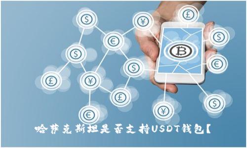 哈萨克斯坦是否支持USDT钱包？