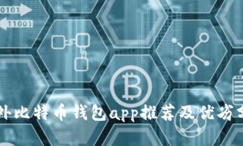 国外比特币钱包app推荐及优劣分析