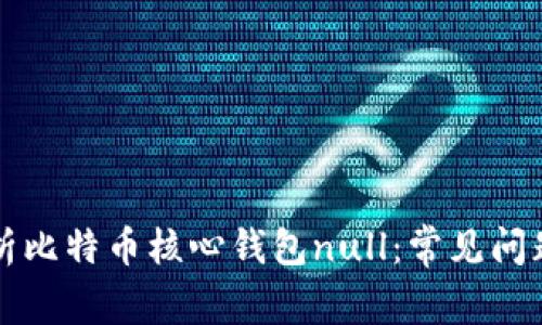 深度解析比特币核心钱包null：常见问题全解析