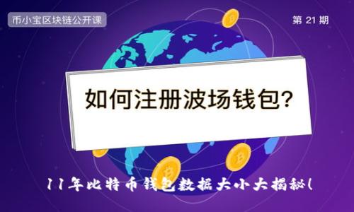 11年比特币钱包数据大小大揭秘！