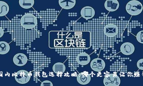 国内比特币钱包选择攻略：哪个更容易让你赚钱