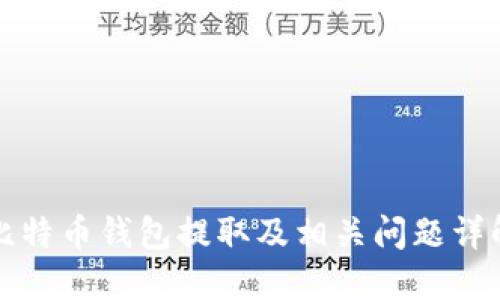 比特币钱包提取及相关问题详解