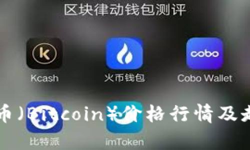 中本聪币（Bitcoin）价格行情及走势分析