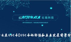 什么是USC币？USC币的价值