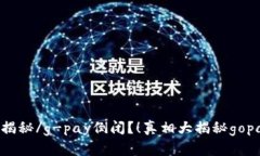 g-pay倒闭？！真相大揭秘