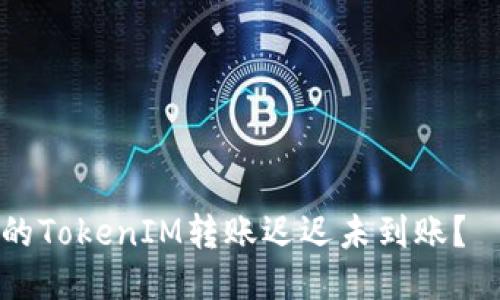 为什么我的TokenIM转账迟迟未到账？—详细教程