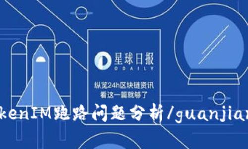 TokenIM跑路问题分析/guanjianci