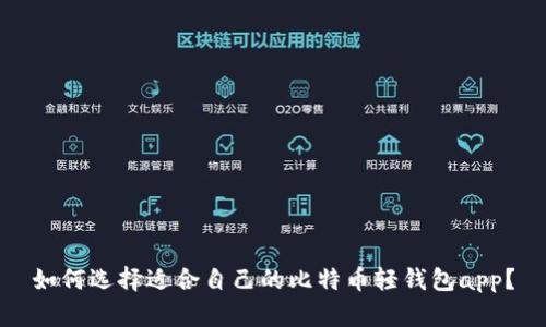 如何选择适合自己的比特币轻钱包app？