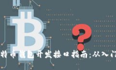 Java比特币钱包开发接口指南：从入门到精通