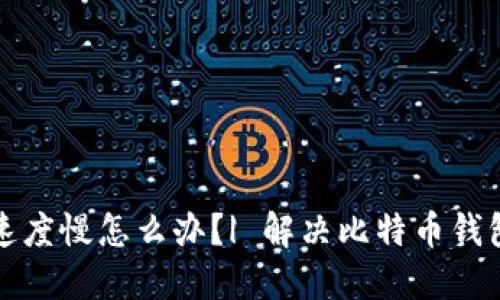 比特币钱包下载速度慢怎么办？| 解决比特币钱包下载速度慢问题