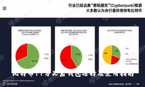 比特币11分叉后钱包选择及使用指南