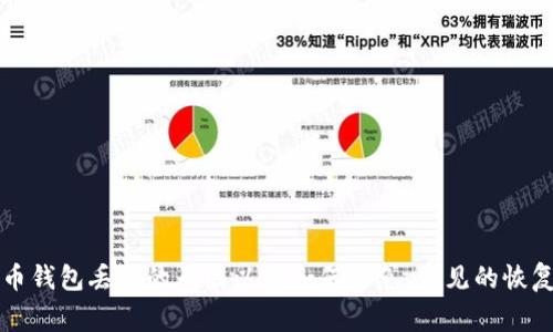 比特币钱包丢失的原因以及如何避免，常见的恢复方法