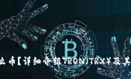 TRX是什么币？详细介绍TRON（TRX）及其未来表现