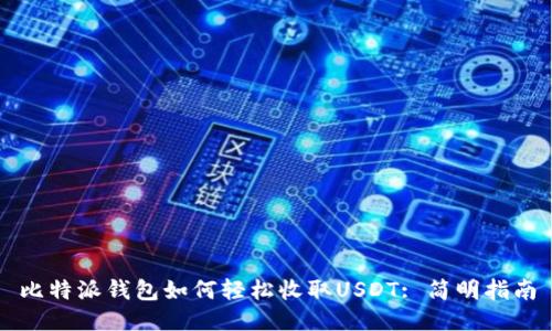 比特派钱包如何轻松收取USDT: 简明指南