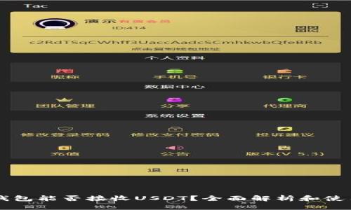 电子钱包能否接收USDT？全面解析和使用指南