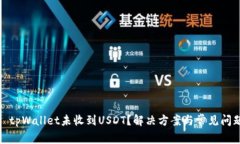 标题: tpWallet未收到USDT？解