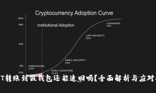 USDT转账到假钱包还能追回吗？全面解析与应对措施