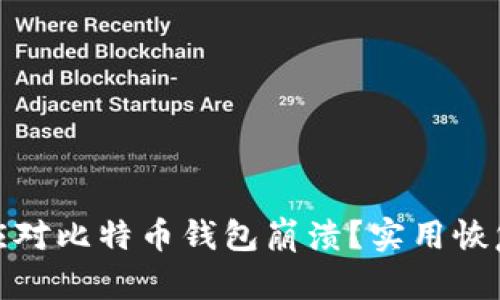 如何应对比特币钱包崩溃？实用恢复攻略