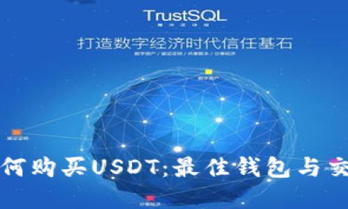 在新加坡如何购买USDT：最佳钱包与交易平台指南