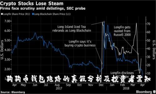 狗狗币钱包跑路的真假分析及投资者需知