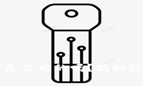 交易所的钱包地址是公用的吗？揭秘数字资产存储的内幕