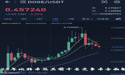 2023年比特币及其前十名竞争币全面解析