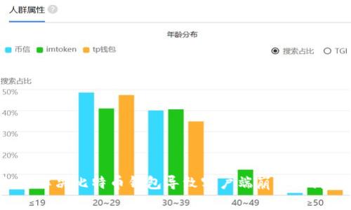 如何解决比特币钱包导致客户端崩溃的问题？