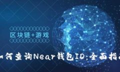 如何查询Near钱包ID：全面