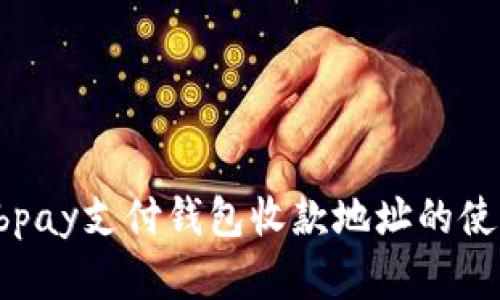 深入解读ebpay支付钱包收款地址的使用与安全性