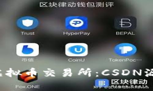  如何搭建自己的虚拟币交易所：CSDN源码解析与使用指南