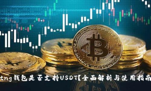 tng钱包是否支持USDT？全面解析与使用指南