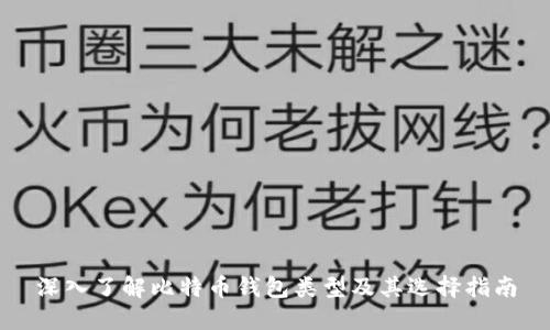 深入了解比特币钱包类型及其选择指南