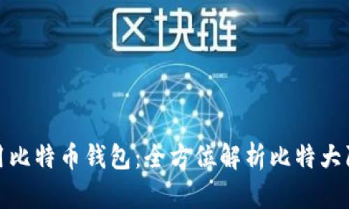 如何选择和使用比特币钱包：全方位解析比特大陆的角色与影响