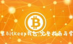 如何下载安装BitKeep钱包：完整指南与常见问题解