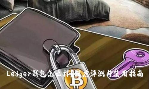 Ledger钱包怎么样？深度评测与使用指南