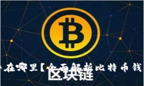 比特币钱包文件在哪里？全面解析比特币钱包的存储与安全