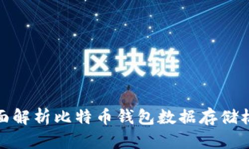 全面解析比特币钱包数据存储机制