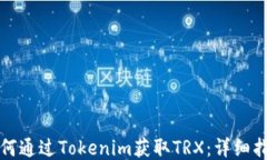 如何通过Tokenim获取TRX：详细指南