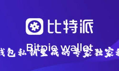 比特币钱包私钥生成的专家独家秘诀揭秘