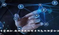 专家揭秘：找回丢失比特币钱包的独家秘诀