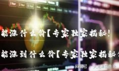 中本聪2025年能涨什么价？专家独家揭秘!中本聪