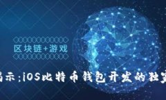 专家揭示：iOS比特币钱包