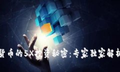 揭秘数字货币的5X投资秘密：专家独家解析投资策