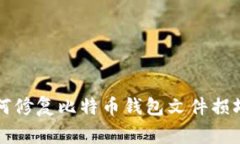 专家教你如何修复比特币钱包文件损坏的独家秘
